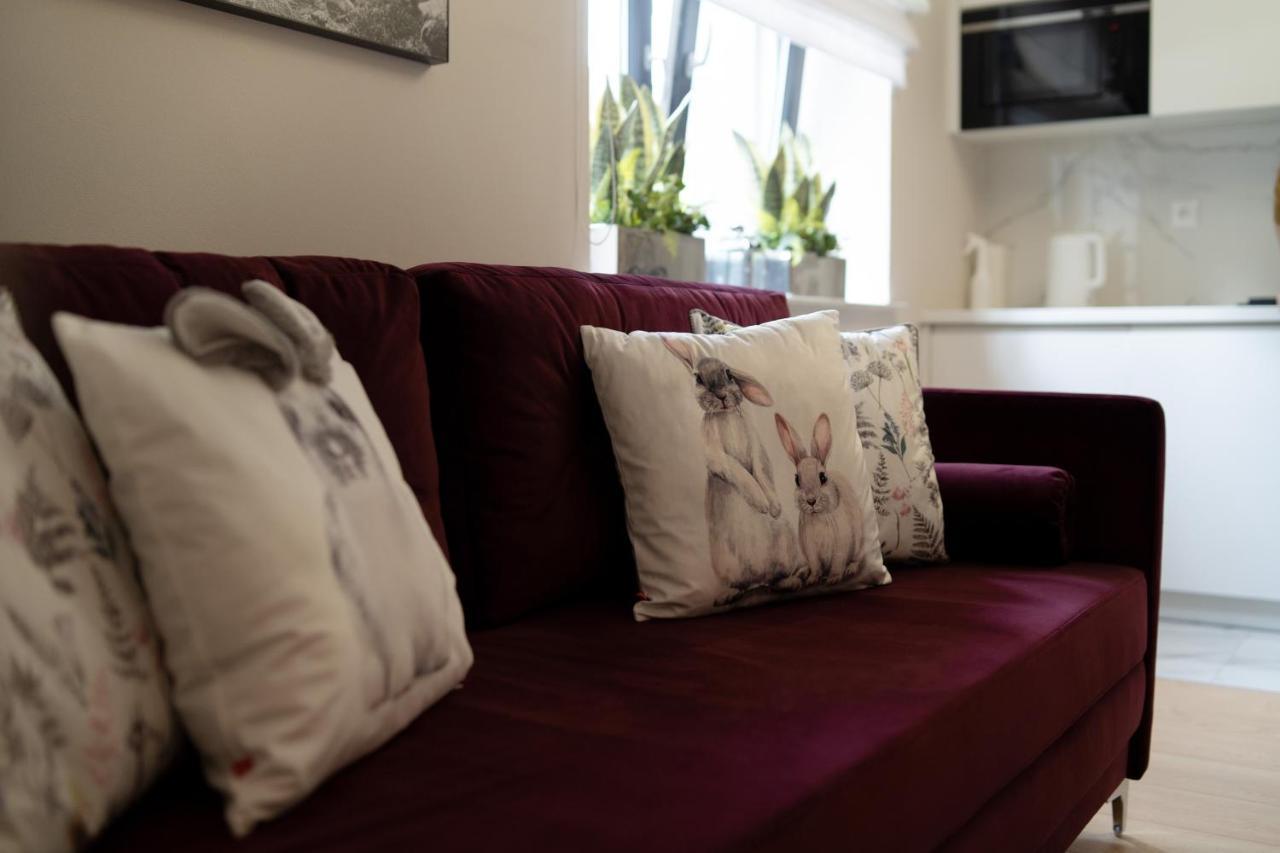Altara Apartamenty Centrum - Free Parking Ζακοπάνε Εξωτερικό φωτογραφία
